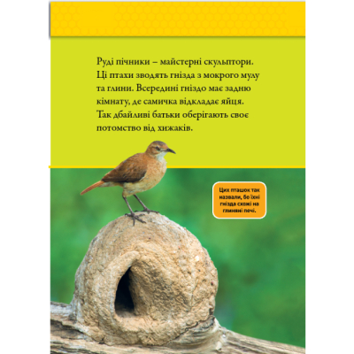 Познавательные книги (4-10 лет) - Книжка «Тварини-будівники» Ліббі Ромеро (9786171600423)#7