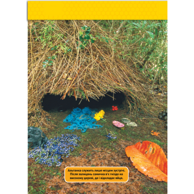 Познавательные книги (4-10 лет) - Книжка «Тварини-будівники» Ліббі Ромеро (9786171600423)#9