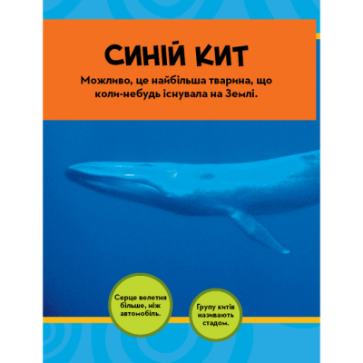 Познавательные книги (4-10 лет) - Книжка «National Geographic. Моя перша енциклопедія.Океани» Кетрін Г'юз (9789669439994)#4