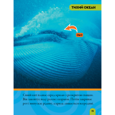 Познавательные книги (4-10 лет) - Книжка «National Geographic. Моя перша енциклопедія.Океани» Кетрін Г'юз (9789669439994)#7