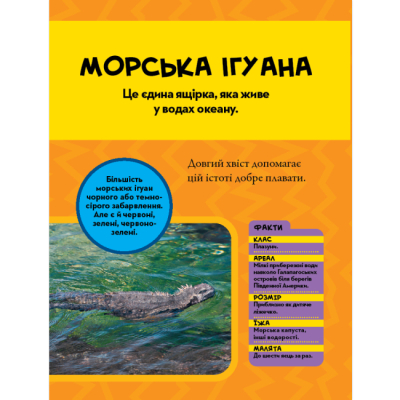 Познавательные книги (4-10 лет) - Книжка «National Geographic. Моя перша енциклопедія.Океани» Кетрін Г'юз (9789669439994)#8