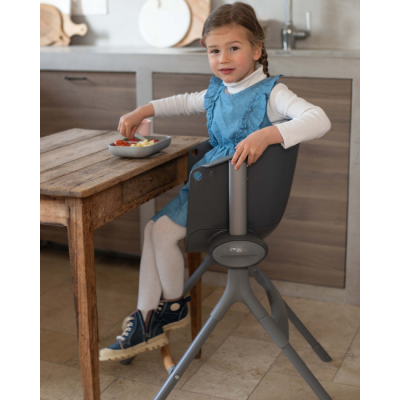 Товари для догляду - Стільчик для годування Beaba Up and down темно-сірий (915043)#8