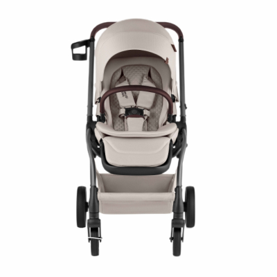 Коляски - Прогулочная коляска Britax-Romer Rio Soft Taupe (2000041614)#2
