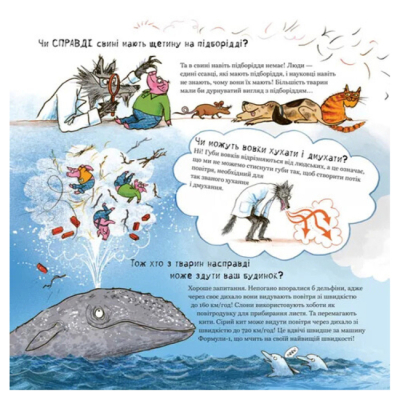 Пізнавальні книги (4-10 років) - Книжка «Великий Сірий Вовк досліджує казки» (9789664485408)#4