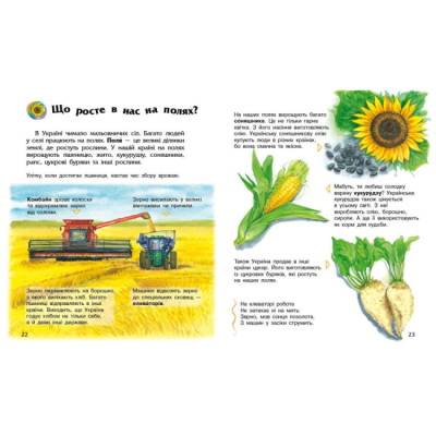 Познавательные книги (4-10 лет) - ​Книжка «Енциклопедія дошкільника. Україна» (9786170999948)#4