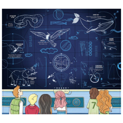 Познавательные книги (4-10 лет) - ​Книжка «Скелети і кістки. Енциклопедія з віконцями» (9786170974938)#2