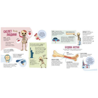 Познавательные книги (4-10 лет) - ​Книжка «Скелети і кістки. Енциклопедія з віконцями» (9786170974938)#4