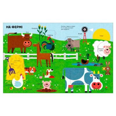 Книги для самых маленьких (0-3 года) - Книжка «Тварини» Макрей Енн (9786170994011)#2