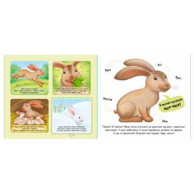 Книги для самых маленьких (0-3 года) - Книжка «Познайомся і погладь. Лісові тварини» Ірина Потаніна (9789667617813)#2