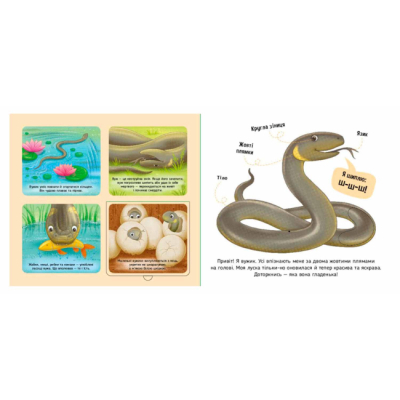 Книги для самых маленьких (0-3 года) - Книжка «Познайомся і погладь. Лісові тварини» Ірина Потаніна (9789667617813)#4