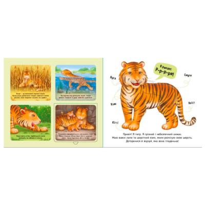 Книги для самых маленьких (0-3 года) - Книжка «Познайомся і погладь. Тварини світу» (9789667617776)#2