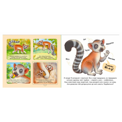 Книги для самых маленьких (0-3 года) - Книжка «Познайомся і погладь. Тварини світу» (9789667617776)#3