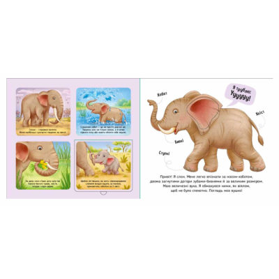 Книги для самых маленьких (0-3 года) - Книжка «Познайомся і погладь. Тварини світу» (9789667617776)#4