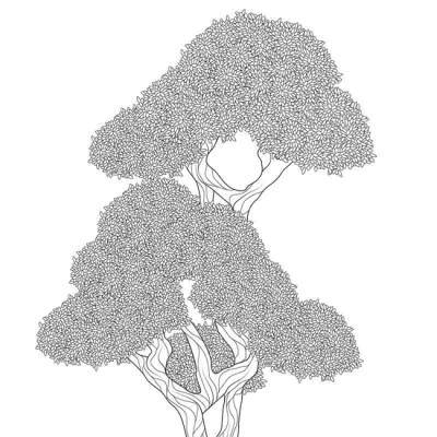 Пізнавальні книги (4-10 років) - ​Книжка «Розмальовка. Розкішні дерева» Сара Муціо (9786178287191)#3