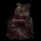 Наборы для творчества - Гравюра-медь Тигр с детенышами Royal Brush (COPF12)#2