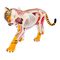 3D-пазлы - Сборная анатомическая модель 4D Master Тигр (26105)#2