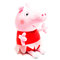 Персонажи мультфильмов - Мягкая игрушка Peppa Pig Пеппа балерина 20 см (25081)#2
