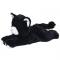 М'які тварини - М'яка іграшка Кошеня Zookies чорний (45005)#2