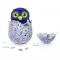 Фігурки тварин - Інтерактивна іграшка Hatchimals Драко в яйці Spin Master # 2 (SM19100 / 6034335) (SM19100/6034335)#8