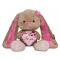 Мягкие животные - Мягкая игрушка Jack&Lin Зайка Лин с сердечком 25 см (2029001)#2