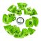 Магнитные конструкторы - Магнитный конструктор Geomag КОR Бело-зеленый  (PF.800.672.00)#4