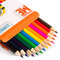 Канцтовари - Кольорові олівці Despicable Me 12 кольорів (119695)#2
