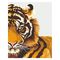 Товари для малювання - Набір акрилового живопису за номерами Rosa Start Тигр (N0001340)#3