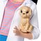 Куклы - Кукла Ветеринар Barbie Я могу быть… (DVF50/DVF58)#3