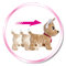 М'які тварини - Інтерактивна іграшка Chi Chi Love Чіхуахуа Щасливчик із сумочкою 30 см (5893110)#5