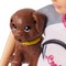 Куклы - Набор Barbie Вкусные развлечения Скиппер (FHP61/FHP62)#2