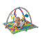 Развивающие коврики - Развивающий коврик Playgro Друзья животные (0185477)  (0185477 )#2
