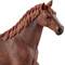 Фігурки тварин - Пластикова фігурка Schleich Англійська кобила 13,7 x 3,6 x 11,4 см (13855)#2