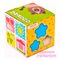 Развивающие игрушки - Игрушка для развития Quokka Интерактивный куб-сортер 16х16 (QUOKA003A)#2