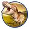 Научные игры, фокусы и опыты - Набор Ses Creative Исследователь Раскопки скелета Тираннозавра (25028S)#5