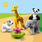 Конструкторы LEGO - Конструктор LEGO Duplo Детишки животных (10904)#3