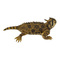 Фигурки животных - Фигурка Lanka Novelties Рогатая ящериц 30 см (21549)#2