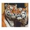 Товары для рисования - Набор для рисования Rosa Влюбленные тигры живопись по номерам (N00013245)#2