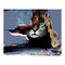 Товари для малювання - Набір для малювання Rosa Кіт у засідці живопис за номерами (N00013212)#2