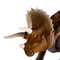 Фигурки животных - Фигурка динозавра Jurassic world Опасные противники Трицератопс со звуком (GJN64)#3