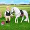 Транспорт и питомцы - Игровая фигурка Lori Белый конь Камарилло с аксессуарами (LO38000Z)#3