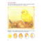 Дитячі книги - Книжка «Хто вилупився з яйця? Дивовижний світ тварин» (121099)#2