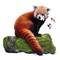 Пазли - Пазл I am Червона панда 100 елементів (4005)#2