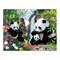Товары для рисования - Картина по номерам Rosa Start Счастливые панды 35 x 45 см (N00013568)#2