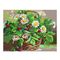 Товари для малювання - Картина за номерами Rosa Start Ромашки 35 x 45 см (N00013453)#2
