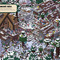 Детские книги - Книга «Minecraft Поймай Крипера и других мобов» Стефани Милтон и Томас Макбрайен (9786177688852)#4