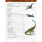 Детские книги - Книга «Моя первая энциклопедия Динозавры» (121257)#2
