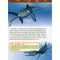 Детские книги - Книга «Моя первая энциклопедия Динозавры» (121257)#5