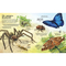 Детские книги - Книга «Большая книга насекомых и не только» Фабиано Фиорин (9786177940349)#2