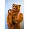 Мягкие животные - Мягкая игрушка Hansa Медведь гризли 165 см (4806021907566)#5