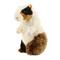 Мягкие животные - Мягкая игрушка Hansa Морская свинка 22 см (4806021970362)#2